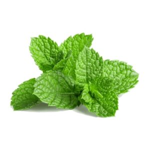 Mint Leaves